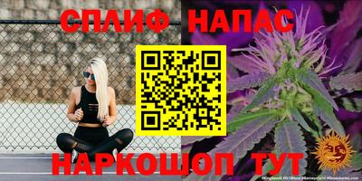кокс Гай